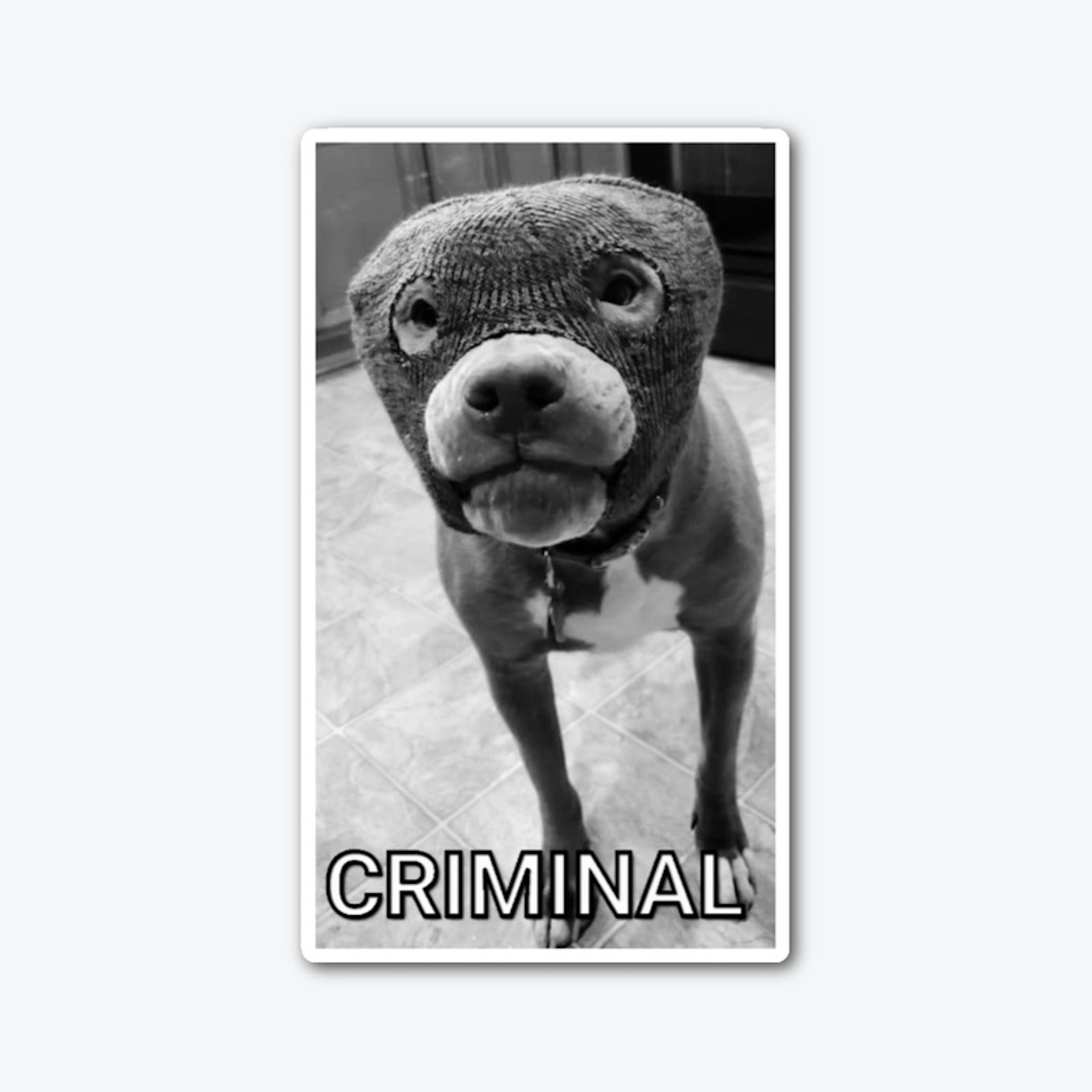 Criminal 3